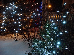 028 A2 Snowfall & Trees [2008 Dec 20]